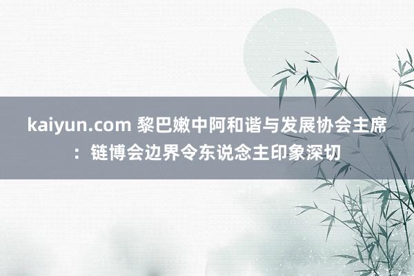 kaiyun.com 黎巴嫩中阿和谐与发展协会主席：链博会边界令东说念主印象深切