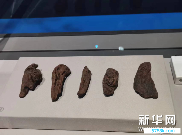 走进故宫博物院茶文化特展 开启一场文化“茶”旅