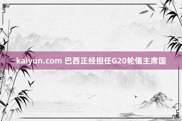 kaiyun.com 巴西正经担任G20轮值主席国