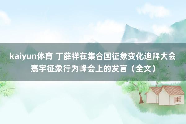 kaiyun体育 丁薛祥在集合国征象变化迪拜大会寰宇征象行为峰会上的发言（全文）