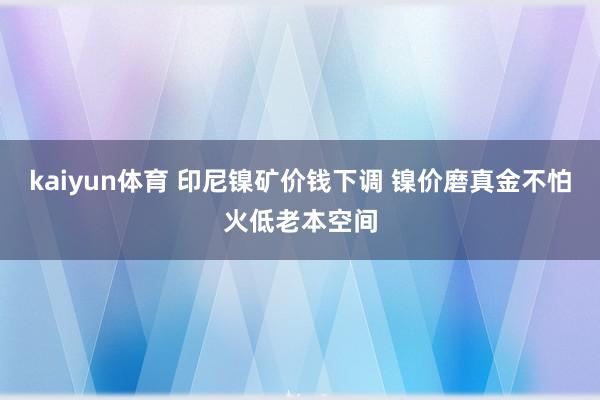 kaiyun体育 印尼镍矿价钱下调 镍价磨真金不怕火低老本空间