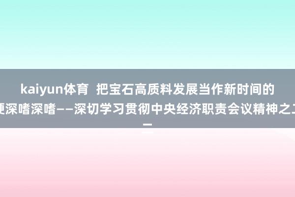 kaiyun体育  把宝石高质料发展当作新时间的硬深嗜深嗜——深切学习贯彻中央经济职责会议精神之二