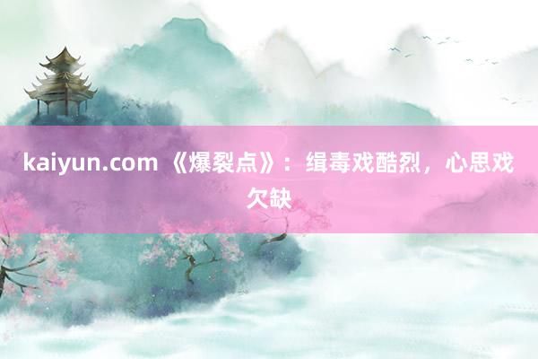 kaiyun.com 《爆裂点》：缉毒戏酷烈，心思戏欠缺