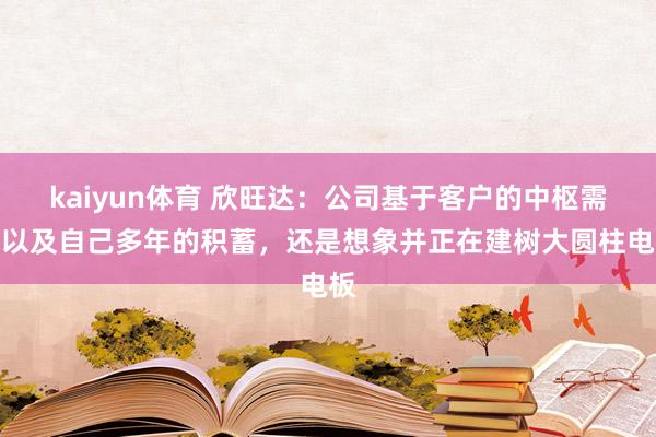 kaiyun体育 欣旺达：公司基于客户的中枢需求以及自己多年的积蓄，还是想象并正在建树大圆柱电板