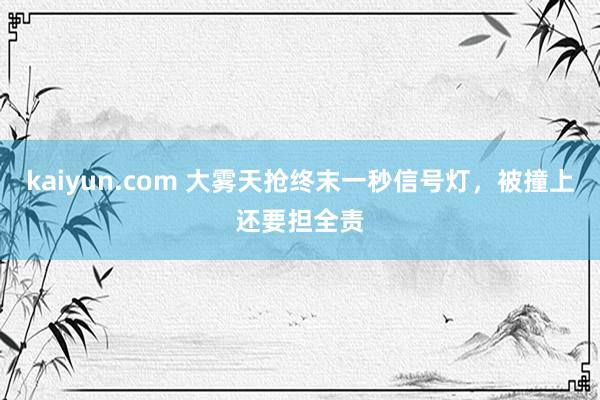 kaiyun.com 大雾天抢终末一秒信号灯，被撞上还要担全责