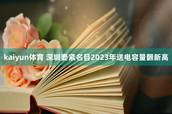 kaiyun体育 深圳要紧名目2023年送电容量翻新高