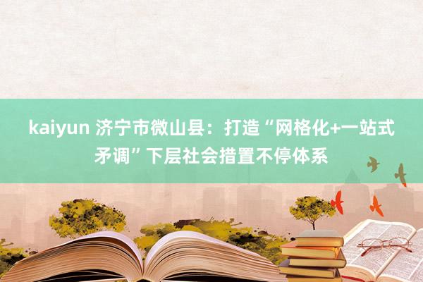 kaiyun 济宁市微山县：打造“网格化+一站式矛调”下层社会措置不停体系