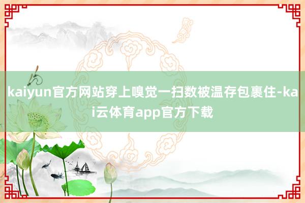 kaiyun官方网站穿上嗅觉一扫数被温存包裹住-kai云体育app官方下载